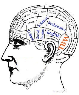 IQ