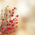 Christmas gold and red decoration